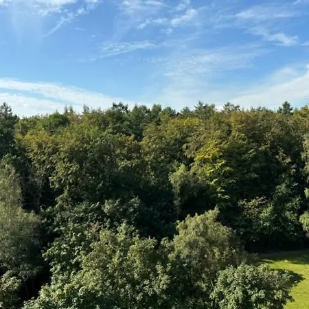 Wald Und 617 *