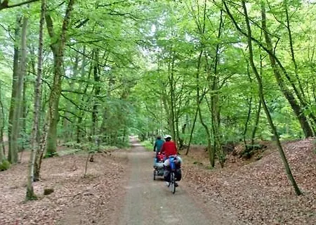 Wald Und 617 * Timmendorfer Strand